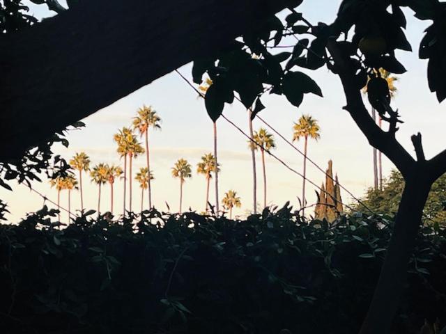 Costa Mesa Homestay - Private Rooms With 2 Shared Baths And Hosts Onsite Exteriör bild